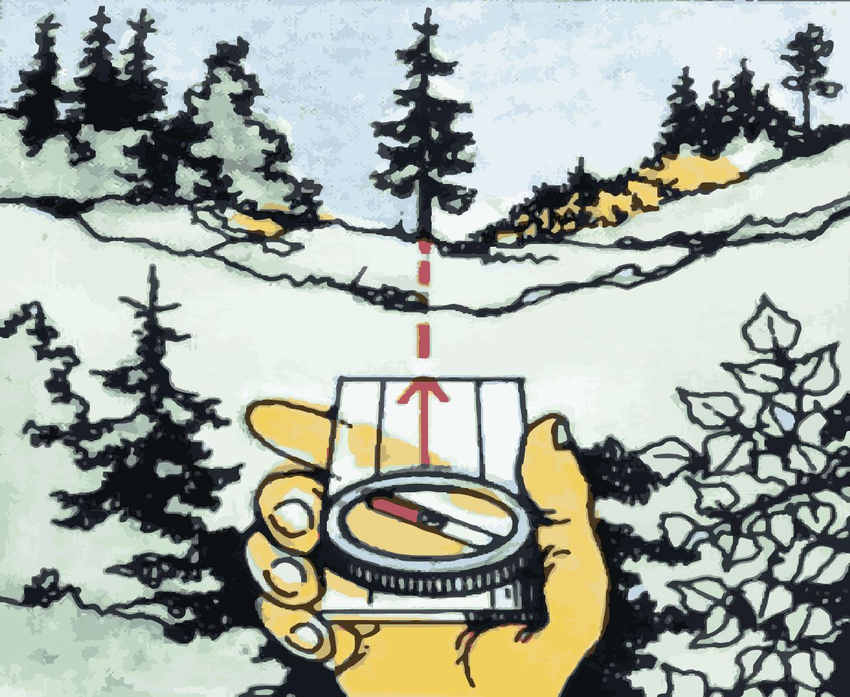 Kompassnål som peker mot et tre i horisonten