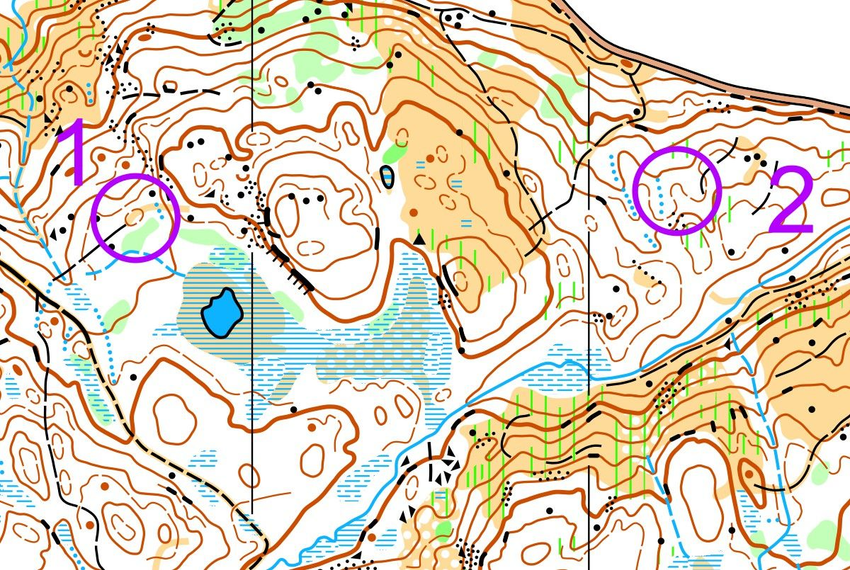 Bilde 2: Kartutsnitt uten rute