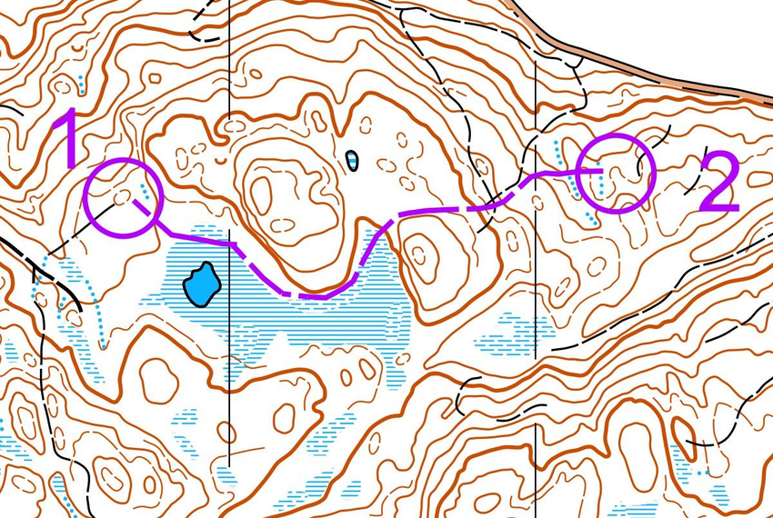Bilde 1: Kartutsnitt med rute