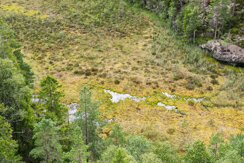 Foto av en åpen myr