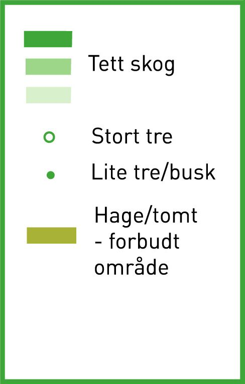 Grønne karttegn: Tett skog, Stort tre, Lite tre/busk, Hage/tomt - forbudt område
